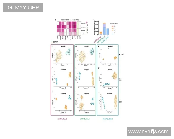 北京排球队团队协作表现的数据分析与提升策略探讨